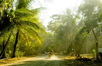 A cover of "OTP" cluster. The owner is chrispywaffle. The cluster consists of 265 elements.