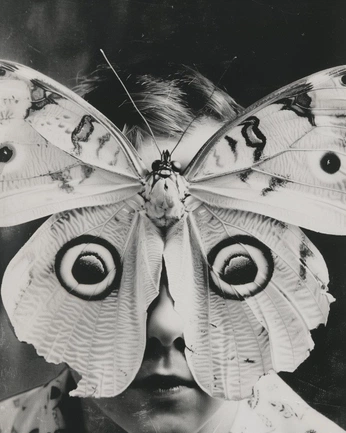 A cover of "🤍" cluster. The owner is anatomyofasoul. The cluster consists of 19 elements.