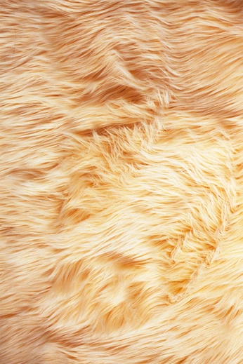 A cover of "Papéis de parede" cluster. The owner is nanyswonderland. The cluster consists of 14 elements.