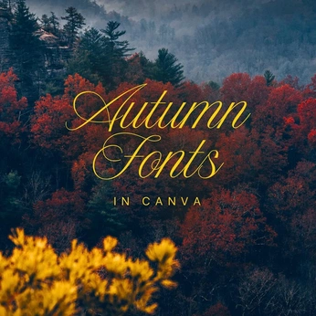 A cover of "x - fonts" cluster. The owner is agustinatesio. The cluster consists of 129 elements.