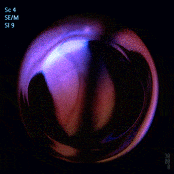 A cover of "in motion" cluster. The owner is serendeepity. The cluster consists of 76 elements.