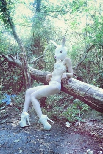 A cover of "Model photoshoot" cluster. The owner is kylesharp17. The cluster consists of 1 element.