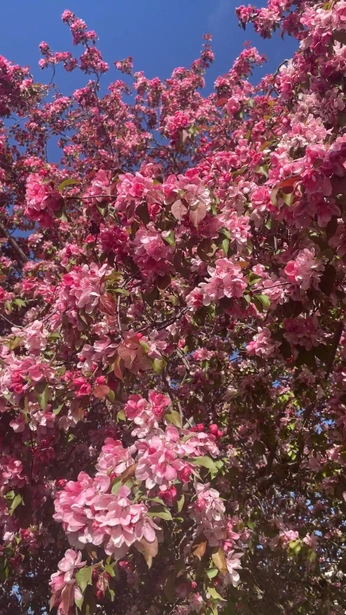 A cover of "Perception stills" cluster. The owner is cartara. The cluster consists of 1 element.