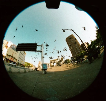 A cover of "fisheye zz" cluster. The owner is kellley. The cluster consists of 9 elements.