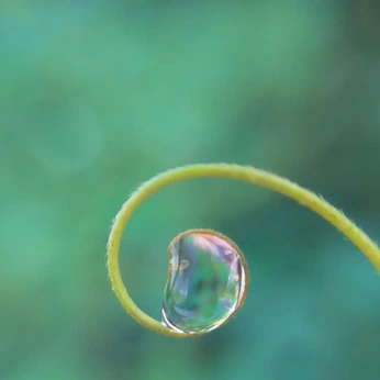 A cover of "my soul 🫧" cluster. The owner is beiudau. The cluster consists of 4 elements.