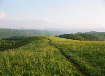 A cover of "Serenity" cluster. The owner is shark22. The cluster consists of 20 elements.