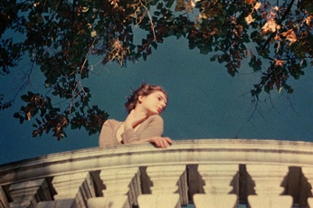 A cover of "liz" cluster. The owner is elleverso. The cluster consists of 20 elements.