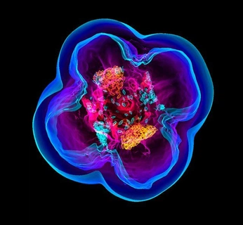 A cover of "touchdesigner inspos" cluster. The owner is koalasdraw. The cluster consists of 3 elements.