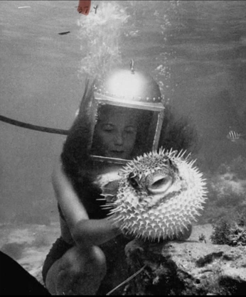 A cover of "sea, my love" cluster. The owner is ladybugs. The cluster consists of 4 elements.