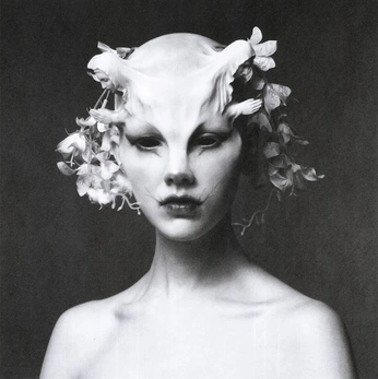 A cover of "tcc" cluster. The owner is fenopeias. The cluster consists of 4 elements.