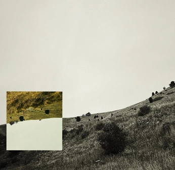 A cover of "photo ideas" cluster. The owner is emilywallingford. The cluster consists of 2 elements.