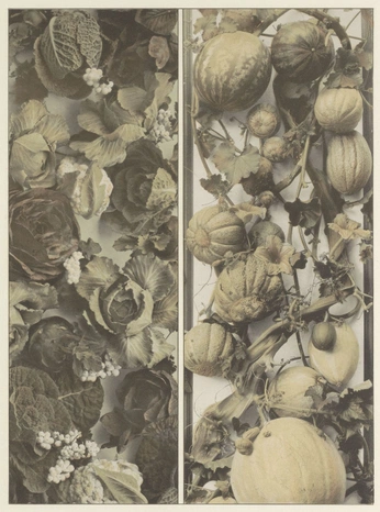 A cover of "Public domain" cluster. The owner is limademps. The cluster consists of 24 elements.