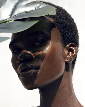 A cover of "drawing" cluster. The owner is camillez. The cluster consists of 1 element.