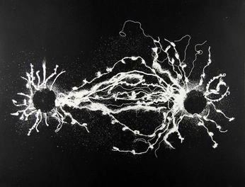 A cover of "Brainssss" cluster. The owner is kate11. The cluster consists of 2 elements.