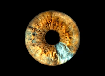 A cover of "Гетерохромия" cluster. The owner is irismoscow. The cluster consists of 22 elements.