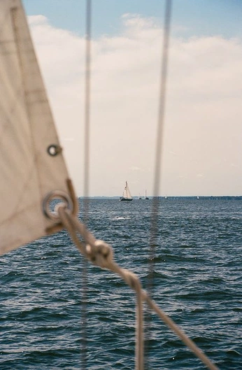 A cover of "Amaala" cluster. The owner is mikeleethomas. The cluster consists of 58 elements.