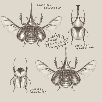 A cover of "Insects" cluster. The owner is critikamaurya. The cluster consists of 1 element.