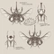Cover of Insects cluster