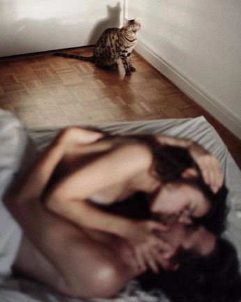 A cover of "Любовь" cluster. The owner is sigareva. The cluster consists of 5 elements.