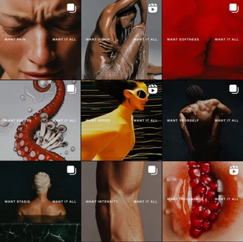 A cover of "Content" cluster. The owner is keeleydevlin. The cluster consists of 6 elements.