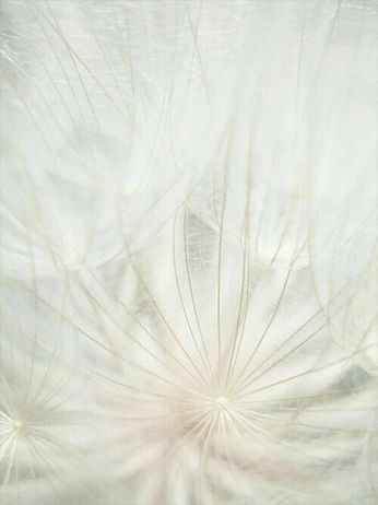 A cover of "heavenly" cluster. The owner is littleb3ar. The cluster consists of 9 elements.