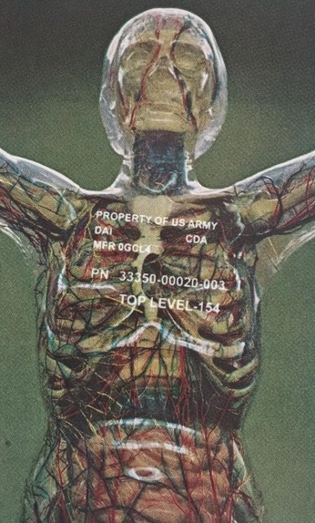 A cover of "Divine Machinery" cluster. The owner is coldtortelloni. The cluster consists of 44 elements.