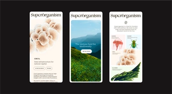 A cover of "Superorganism" cluster. The owner is edemenko. The cluster consists of 6 elements.