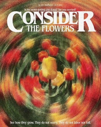 A cover of "Graphics" cluster. The owner is mrchinaman. The cluster consists of 1 element.