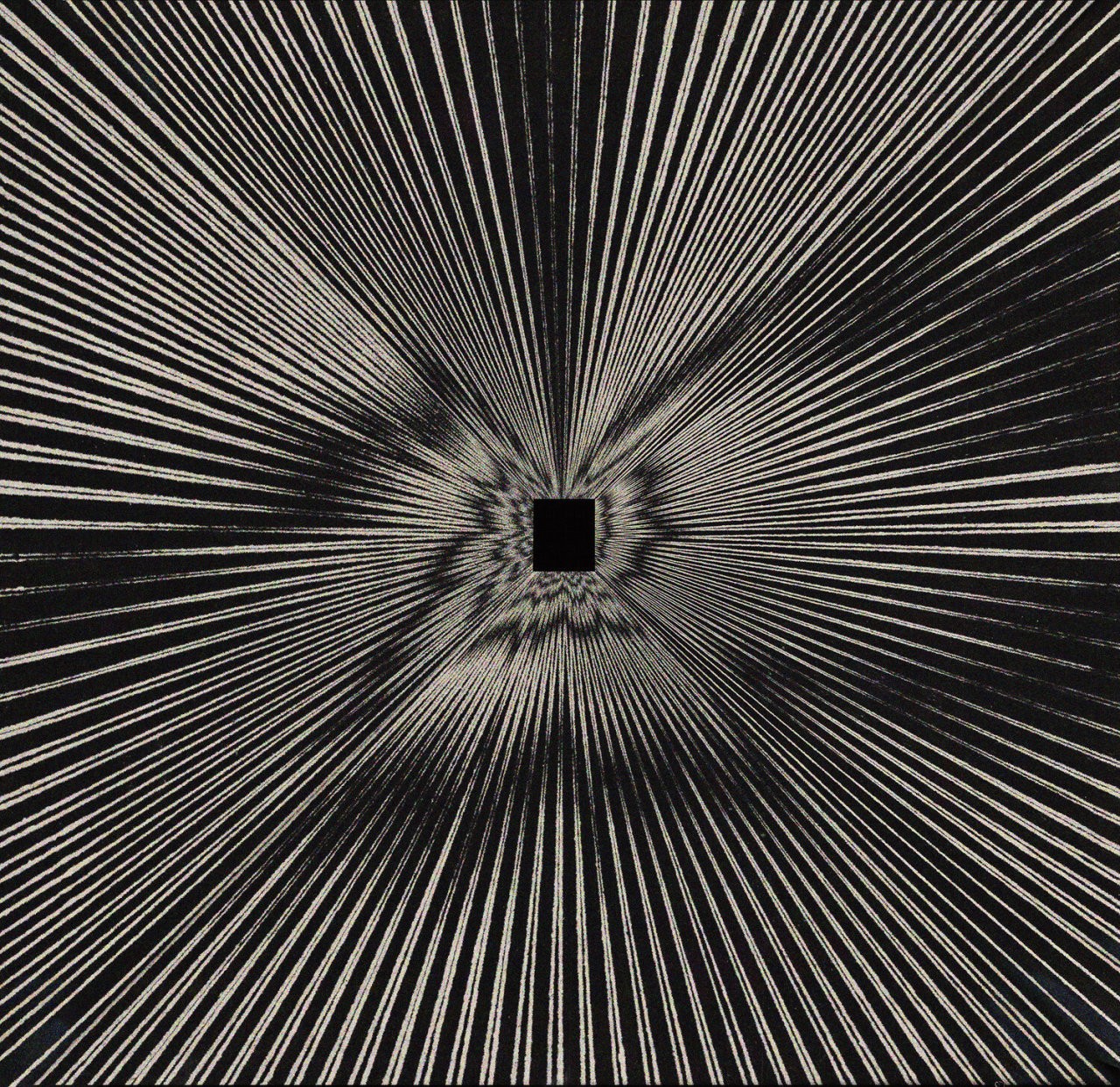 An image uploaded by lucasworcel on Nov 29, 2023. May present: wood, organism, font, line, symmetry.