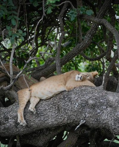 An Instagram carousel post added by annie on Apr 08, 2024. The author is @brenden_simonson.