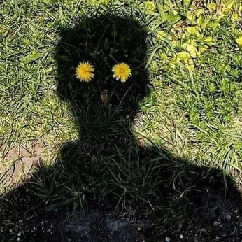 A cover of "Flores" cluster. The owner is laszlito. The cluster consists of 33 elements.