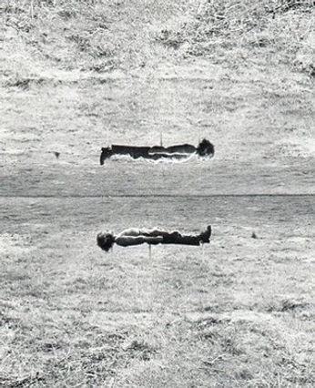 A cover of "HUMANITY" cluster. The owner is nacho. The cluster consists of 51 elements.