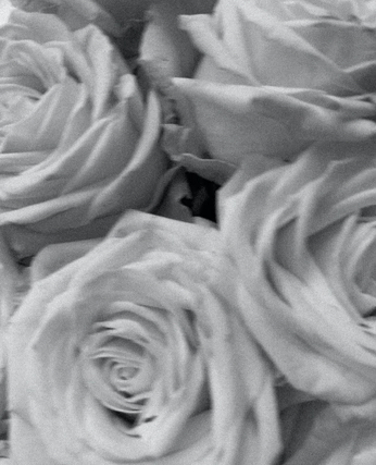 A cover of "Nature" cluster. The owner is mallis. The cluster consists of 145 elements.