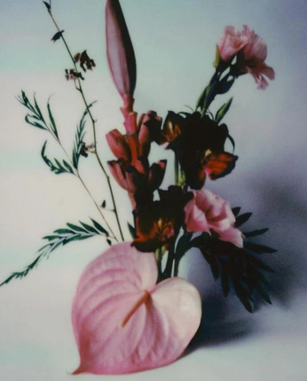 A cover of "flora" cluster. The owner is ekaterinaurora. The cluster consists of 27 elements.