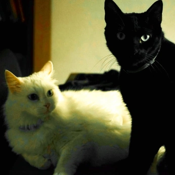 A cover of "Work" cluster. The owner is noknownsource. The cluster consists of 54 elements.