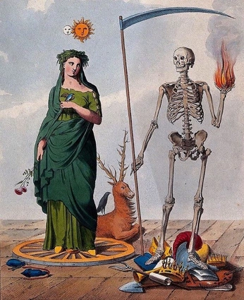 A cover of "[OC] Harvest" cluster. The owner is thefinalsnart. The cluster consists of 16 elements.