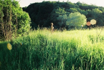 A cover of "aching lux" cluster. The owner is cont3. The cluster consists of 23 elements.