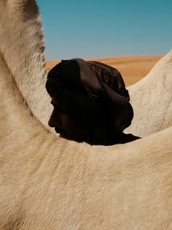 A cover of "exp" cluster. The owner is mikmof. The cluster consists of 2 elements.