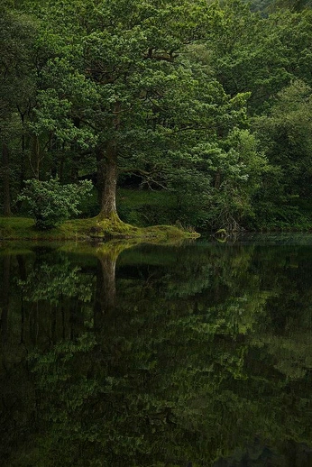 A cover of "Landscape photo" cluster. The owner is tomhenning. The cluster consists of 26 elements.