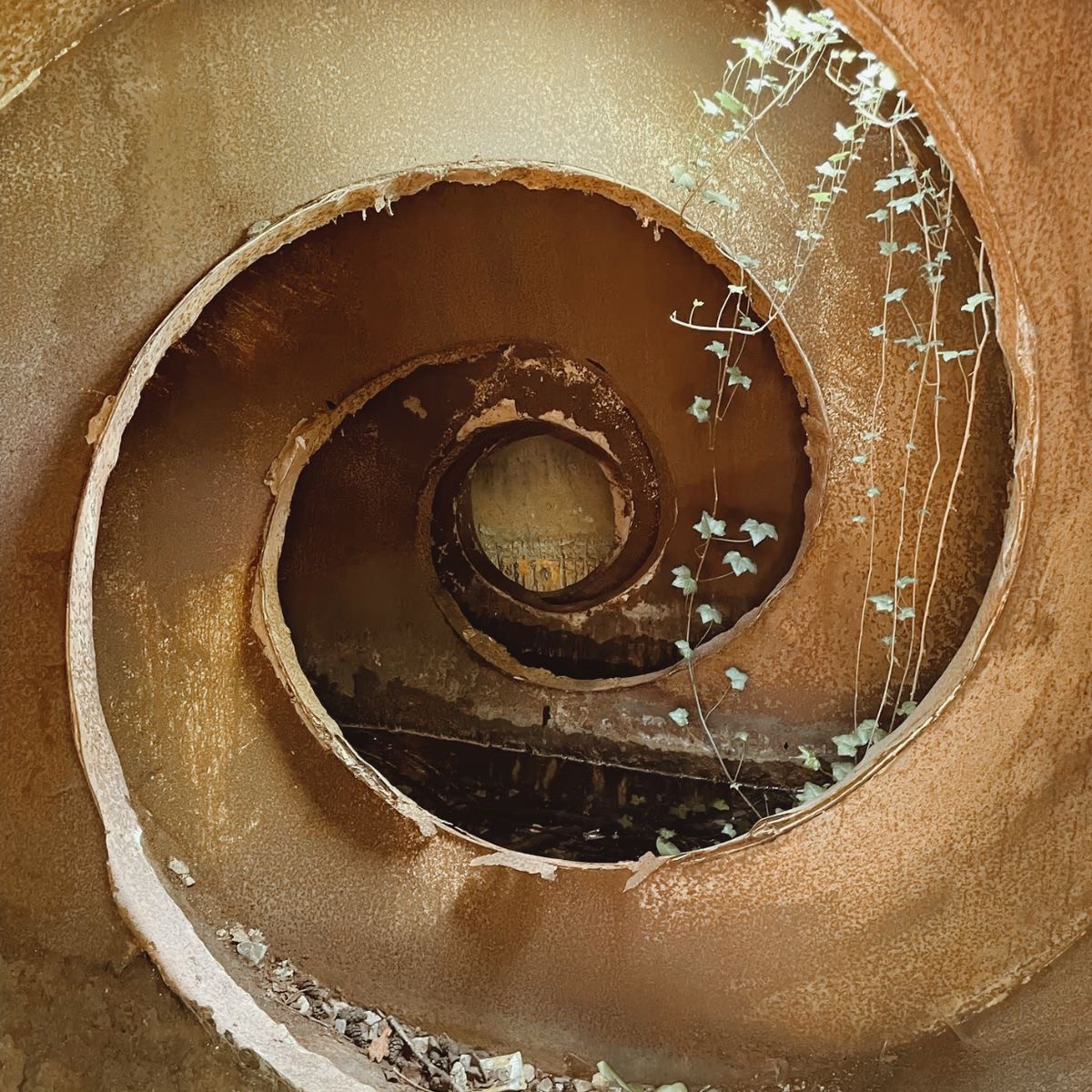 𝙴𝚜𝚙𝚒𝚛𝚊𝚕