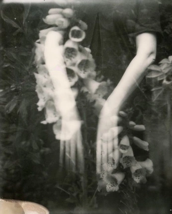 A cover of "thu.mb.2" cluster. The owner is lunerle. The cluster consists of 5 elements.