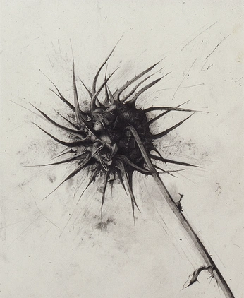 A cover of "Anger" cluster. The owner is darkerdaes. The cluster consists of 5 elements.