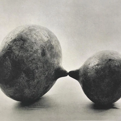 An Instagram  post added by mikaylahogg on Sep 26, 2023. The author is @twentyonetonnes. May present: still life photography, photography, fruit, tree, art.