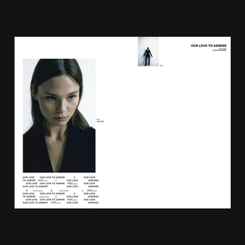 A cover of "GRAPHIC DESIGN" cluster. The owner is laurynwylde. The cluster consists of 30 elements.