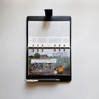 A cover of "JOURNALS" cluster. The owner is ananoduerme. The cluster consists of 19 elements.