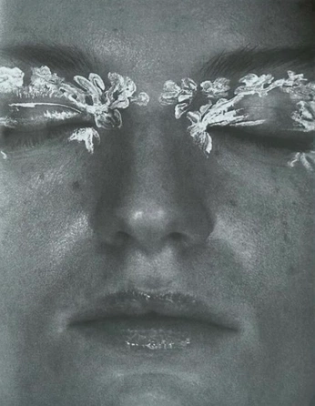 A cover of "𝖎" cluster. The owner is princenwaohuocha. The cluster consists of 4 elements.