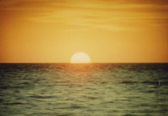 A cover of "HMM" cluster. The owner is nauseousbitch. The cluster consists of 8 elements.