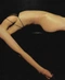 Cover of Body cluster
