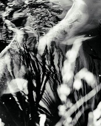 A cover of "ZINE ART" cluster. The owner is maxvisser. The cluster consists of 27 elements.