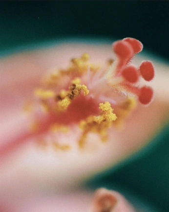 A cover of "abstract nature" cluster. The owner is blanchedegris. The cluster consists of 6 elements.